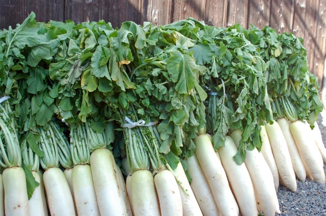 【健康レシピ】冬の大根料理